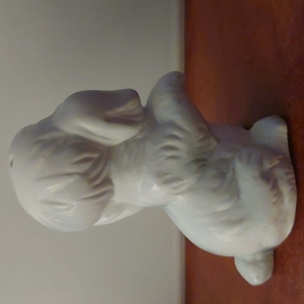 Poodle Salt & Pepper - Picture 11 of 13